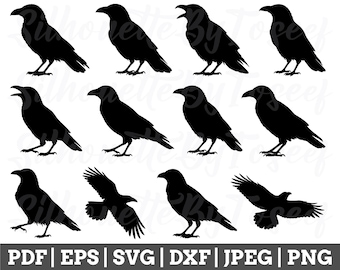 Cuervo SVG, silueta de cuervo, archivo de corte de cuervo, vector de cuervo, cuervo Cricut, cuervo DXF, JPEG, PNG
