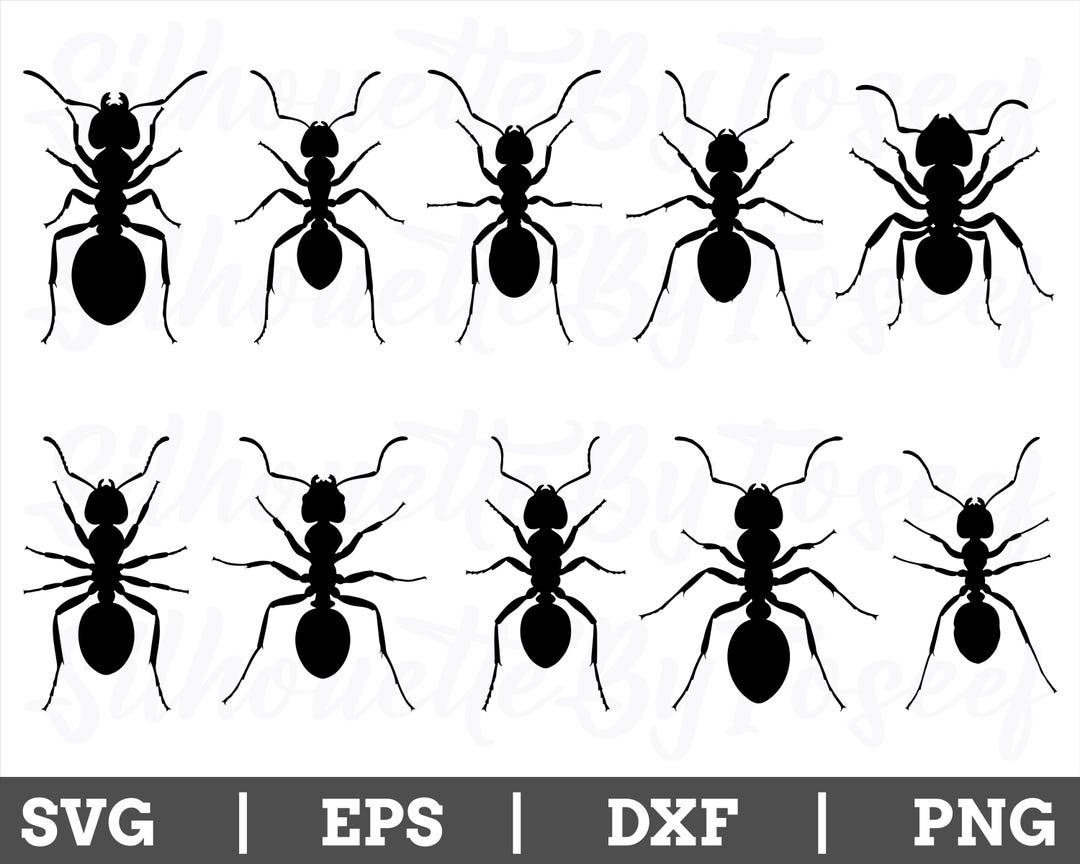 Ants Svg, Ants Cut File, Ant Silhouette, Ant Vector, Ant Dxf, Png - Etsy