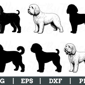 Cotton De Tulear Dog Svg, Cotton De Tulear Dog Silhouette, Dxf, Png