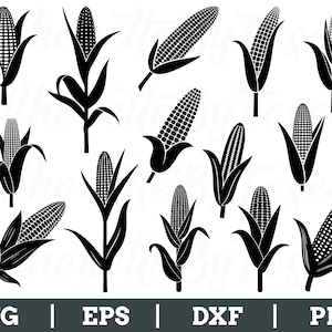Puede incluir: Ilustraciones vectoriales en blanco y negro de mazorcas de maíz en varias etapas de crecimiento. La imagen incluye múltiples tallos de maíz con hojas y mazorcas. La parte inferior de la imagen muestra el texto "SVG | EPS | DXF | PNG".