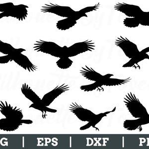 Flying Crow Svg, Crow Silhouette, Crow Vector, Crow Cut File, Dxf, Png