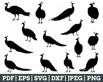 Pavo real Svg, silueta de pavo real, vector de pavo real, archivo de corte de pavo real, pavo real Dxf, JPEG, PNG