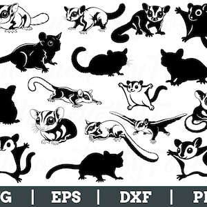 Puede incluir: Una colección de ilustraciones de petauros del azúcar en varias poses, representadas en blanco y negro. La imagen incluye múltiples representaciones de los pequeños marsupiales, algunas en silueta y otras con marcas detalladas. La parte inferior de la imagen muestra los tipos de archivo: SVG, EPS, DXF y PNG.
