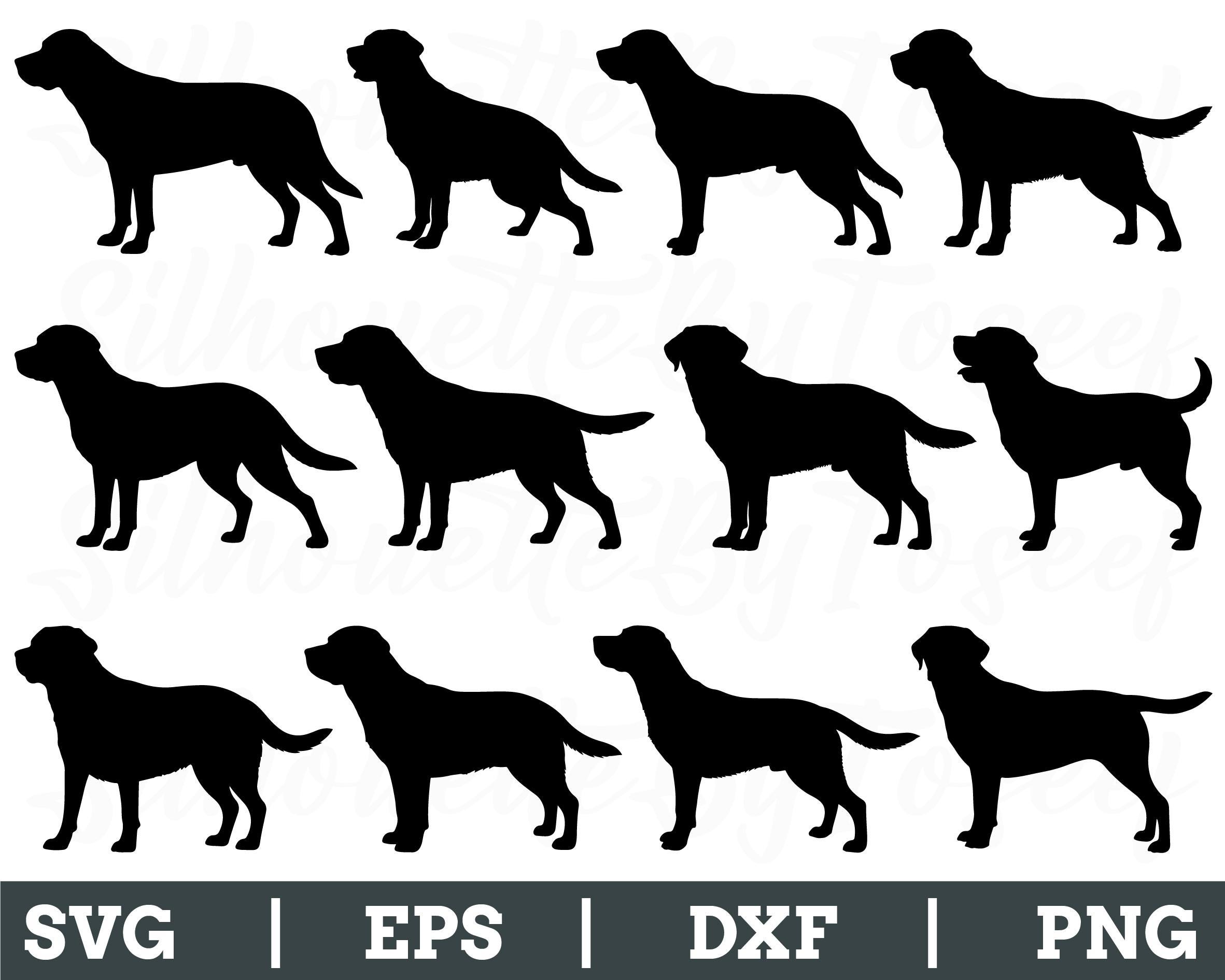 Labrador Svg, Labrador Silhouette, Labrador Vector, Labrador Dxf, Png ...