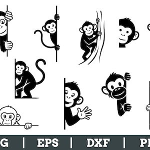 Puede incluir: Una colección de ilustraciones de monos en blanco y negro en varias poses. Algunos monos se asoman por las esquinas, mientras que otros cuelgan de una rama de árbol. La imagen incluye indicadores de tipo de archivo SVG, EPS, DXF y PNG.