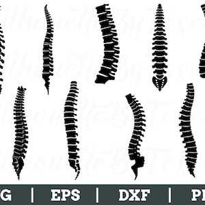 Sine Bone Svg, Spine Bone Silhouette, Spine Bone Vector, Dxf, Png