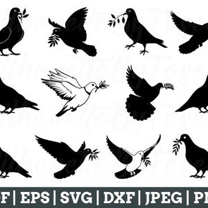 Pigeon With Branch Svg, Pigeon Svg, Pigeon Cut File, Pigeon Silhouette, Pigeon Dxf, Jpeg, Png