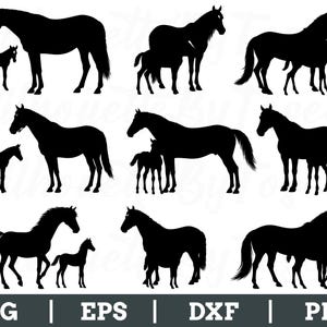 May include: Black silhouette images of horses and foals in various poses. The collection includes images of adult horses standing alone, with foals, and pairs of horses. The bottom of the image displays the text "SVG | EPS | DXF | PNG".