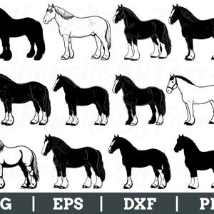 Shire Horse Svg, Shire Horse Silhouette, Shire Horse Vector, Dxf, Png