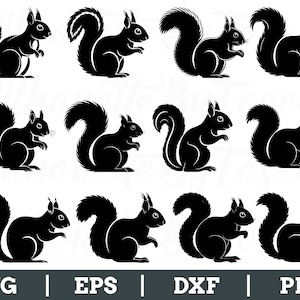 Squirrel Svg, Squirrel Silhouette, Squirrel Dxf, Squirrel Vector, Png