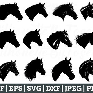 Horse Head Svg, Horse Head Cut File, Horse Head Vector, Horse Head Silhouette, Horse Cricut, Jpeg, Png