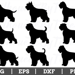 Black Russian Terrier Dog Svg, Russian Terrier Silhouette, Terrier Breed Vector, Dxf, Png