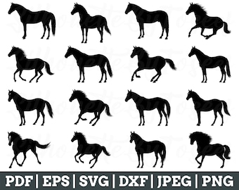 Horse Svg, Horse Cut File, Horse Silhouette, Horse Cricut, Jpeg, Png