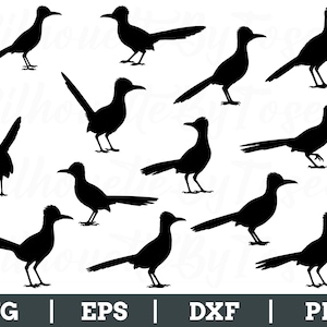 Roadrunner Birds Svg, Roadrunner Bird Silhouette, Roadrunner Bird Vector, Dxf, Png