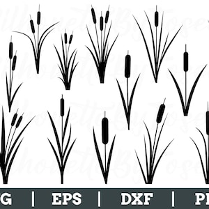 May include: Black and white vector illustrations of cattails and reeds. The image features various stylized depictions of these aquatic plants, with long, slender leaves and cylindrical seed heads. The bottom of the image includes the text "SVG | EPS | DXF | PNG".