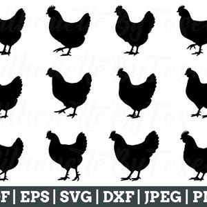 Chicken Svg, Chicken Silhouette, Chicken Vector, Chicken Cut File, Chicken Dxf, Jpeg, Png