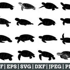 Sea Turtle Svg, Sea Turtle Cut File, Sea Turtle Silhouette, Sea Turtle Vector, Jpeg, Png