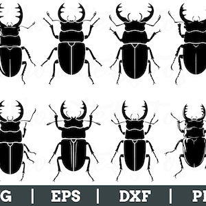 May include: Eight black stag beetle illustrations in various poses. Each beetle has large mandibles and detailed legs. The image includes the text "SVG | EPS | DXF | PNG" at the bottom, indicating file formats.