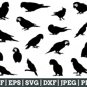 Parrot Svg, Parrot Cut File, Parrot Silhouette, Parrot Vector, Parrot Dxf, Jpeg, Png