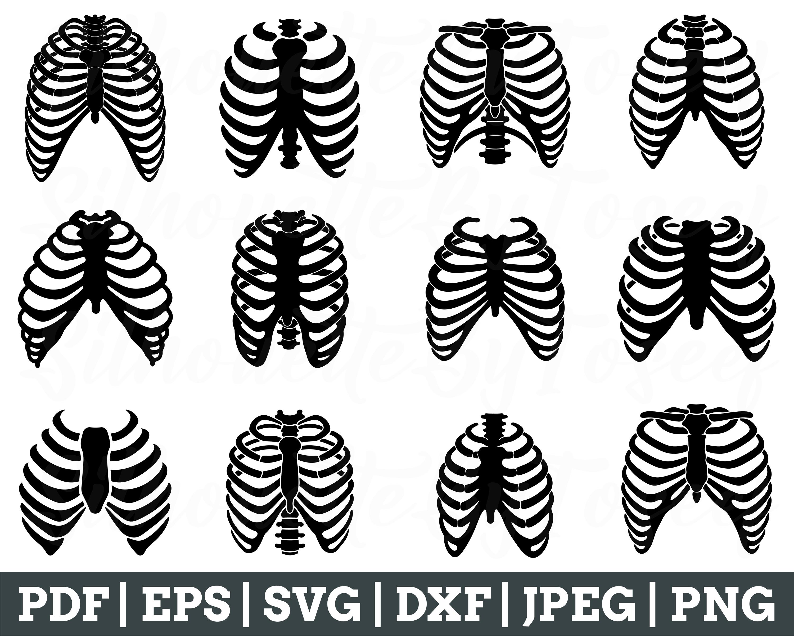 Rib Bone Svg, Rib Bone Silhouette, Rib Bone Cut File, Rib Bone Vector ...