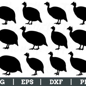 Guinea Fowl Svg, Guinea Fowl Silhouette, Guinea Fowl Vector, Dxf, Png
