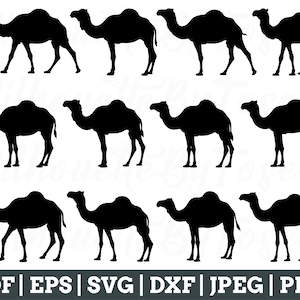 Camel Svg, Camel Silhouette, Camel Cut File, Camel Cricut, Jpeg, Png
