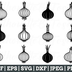 Onion Svg, Onion Cut File, Onion Vector, Onion Silhouette, Onion Dxf, Jpeg, Png