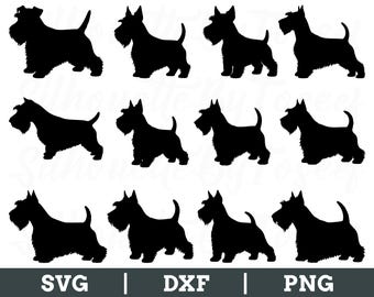Scottish Terrier Dog Svg, Scottish Terrier Dog Vector, Scottish Terrier Silhouette, Dxf, Png