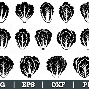 Lettuce Svg, Lettuce Silhouette, Lettuce Vector, Lettuce Dxf, Png