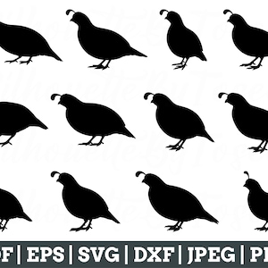 Quail Svg, Quail Bird Silhouette, Quail Cut File, Quail Vector, Quail Dxf, Jpeg, Png
