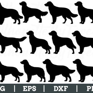 Flat-Coated Retriever Dog Svg, Flat-Coated Retriever Silhouette, Dog Breed Vector, Dxf, Png