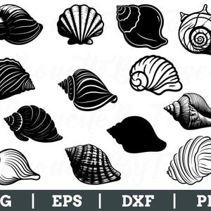 Conch Shell Svg, Conch Shell Silhouette, Conch Shell Vector, Dxf, Png