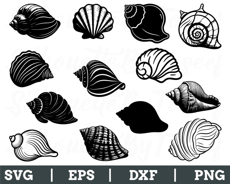 Conch Shell Svg, Conch Shell Silhouette, Conch Shell Vector, Dxf, Png ...