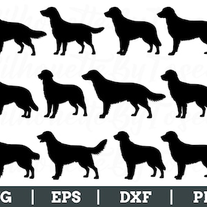 Flat Coated Retriever Dog Svg, Retriever Dog Silhouette, Flat Coated Dxf, Png
