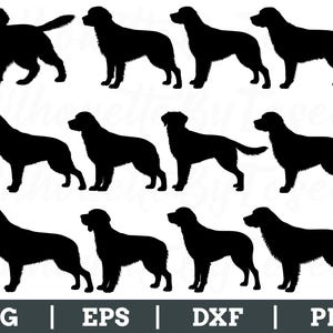 English Springer Dog Svg, English Springer Silhouette, Dog Breed Vector, Dxf, Png