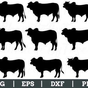 Puede incluir: Nueve imágenes de siluetas negras de un toro en varias poses, sobre un fondo blanco. La parte inferior de la imagen incluye el texto "SVG | EPS | DXF | PNG".