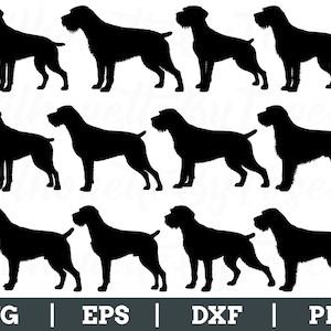 German Wirehaired Pointer Dog Svg, German Wirehaired Breed Silhouette, Wirehaired Dxf, Png