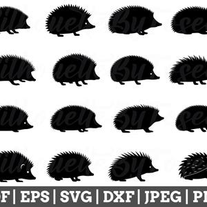 Funny Hedgehog Svg, Hedgehog Cut File, Hedgehog Silhouette, Hedgehog Vector, Jpeg, Png
