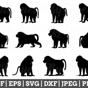 Baboon Svg, Baboon Cut File, Baboon Silhouette, Baboon Cricut, Baboon Vector, Jpeg, Png