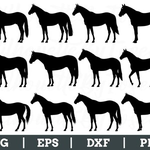Thoroughbred Svg, Thoroughbred Silhouette, Thoroughbred Cut File, Dxf, Png