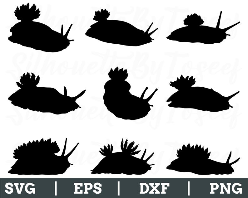 Sea Slug Svg, Sea Slug Silhouette, Sea Slug Vector, Sea Slugs Cut File ...