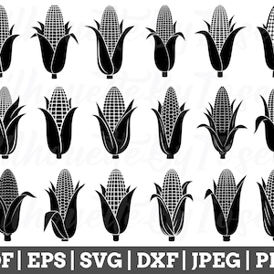 Puede incluir: Un conjunto de 18 archivos de corte SVG de silueta de maíz en blanco y negro. Las mazorcas de maíz están en varias etapas de crecimiento, desde pequeñas y delgadas hasta grandes y llenas.