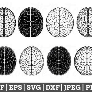 May include: Eight black and white illustrations of the human brain, viewed from the side. Each brain is depicted with detailed anatomical features.