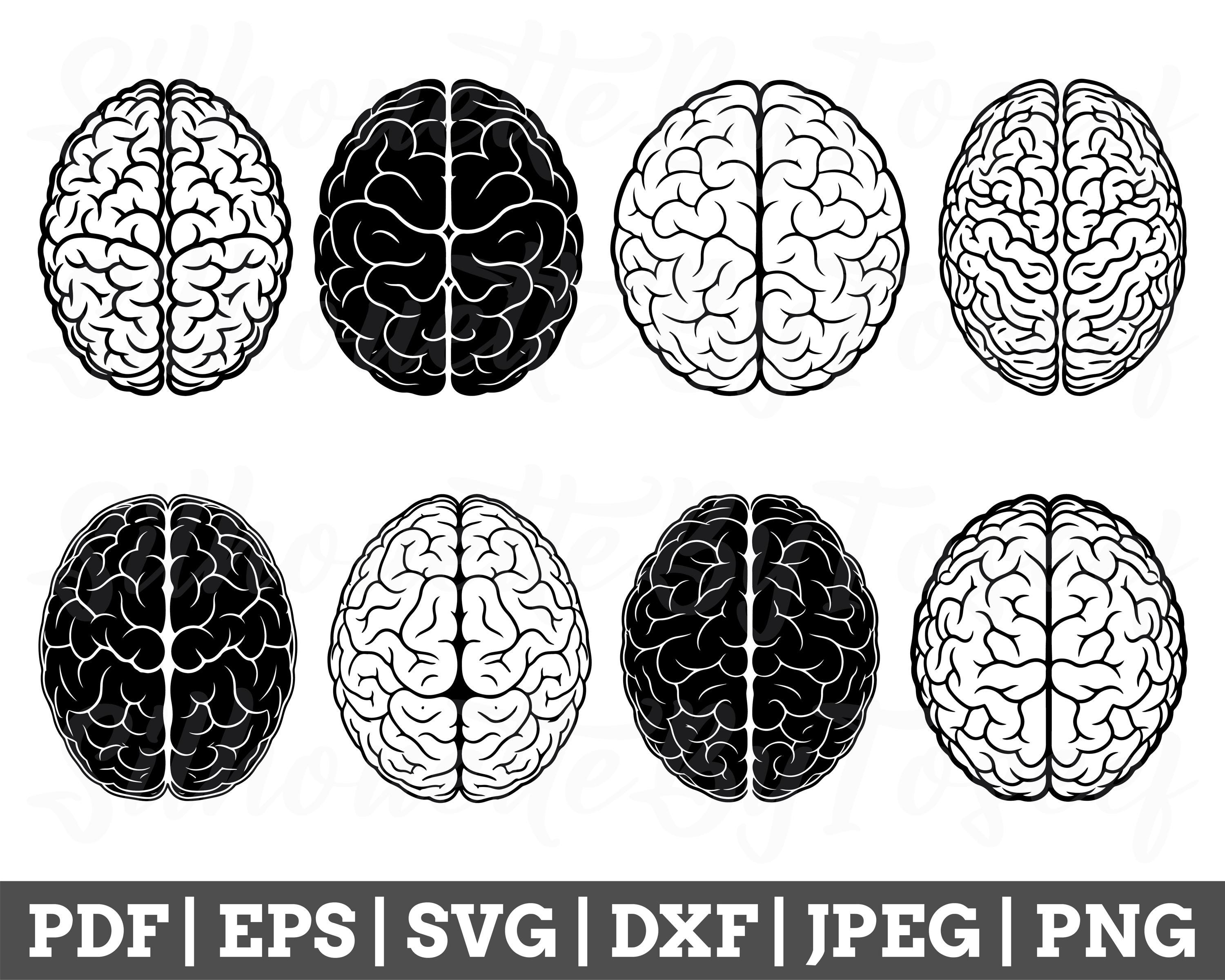 Brain Svg, Brain Cut File, Brain Silhouette, Brain Outline, Brain ...