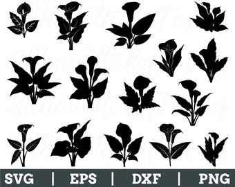 Flor de lirio arum Svg, silueta de flor de lirio, vector de flor de lirio, Dxf, Png