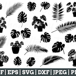 Tropical Leaves Svg, Tropical Leaves Cut File, Monstera Leaves Vector, Jpeg, png