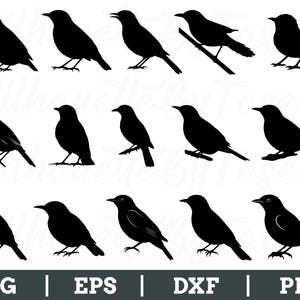 Nightingale Birds Svg, Nightingale Bird Silhouette, Nightingale Cut File, Nightingale Dxf, Png