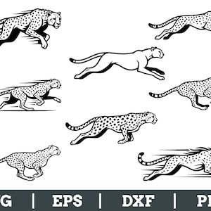 May include: A collection of black and white cheetah illustrations in various running poses. The cheetahs are depicted with spots and streamlined bodies, conveying speed and agility. The image includes the text "SVG | EPS | DXF | PNG".