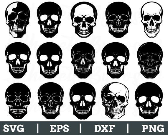 Skull Types