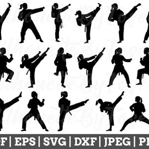Könnte beinhalten: Ein Satz von 14 Schwarzweiß-Silhouettenbildern von Personen in Karate-Posen. Die Bilder sind in verschiedenen Posen, darunter Schläge, Tritte und Blocken.